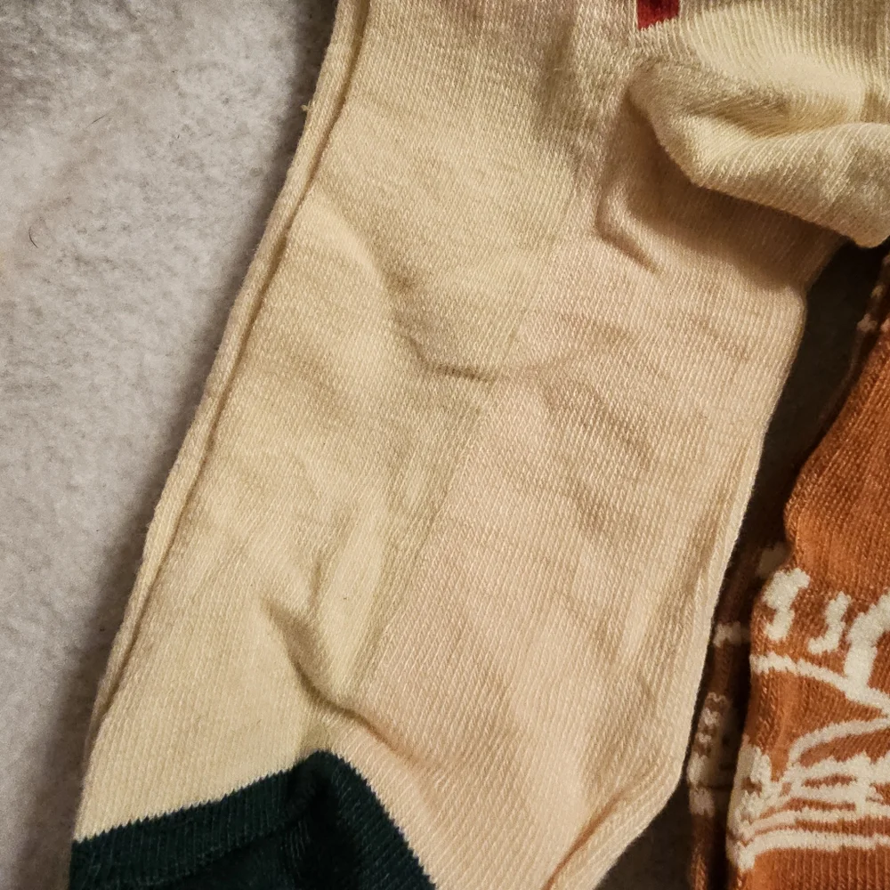 Set Of Three Fall Thanksgiving Turkey New Socks